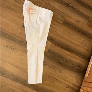 Liz Lange Marernity Ankle pants